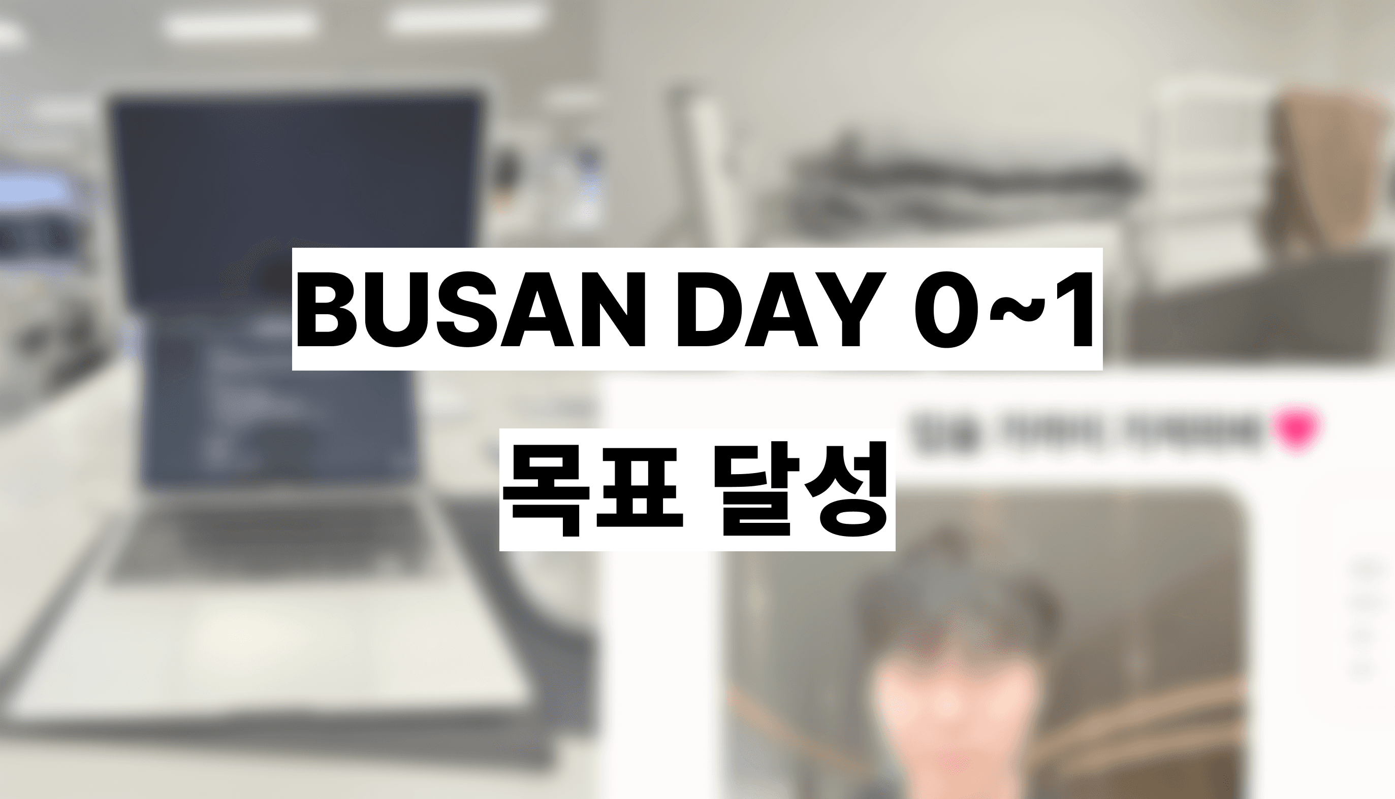 Cover Image for BUSAN DAY 0~1 : 목표 달성