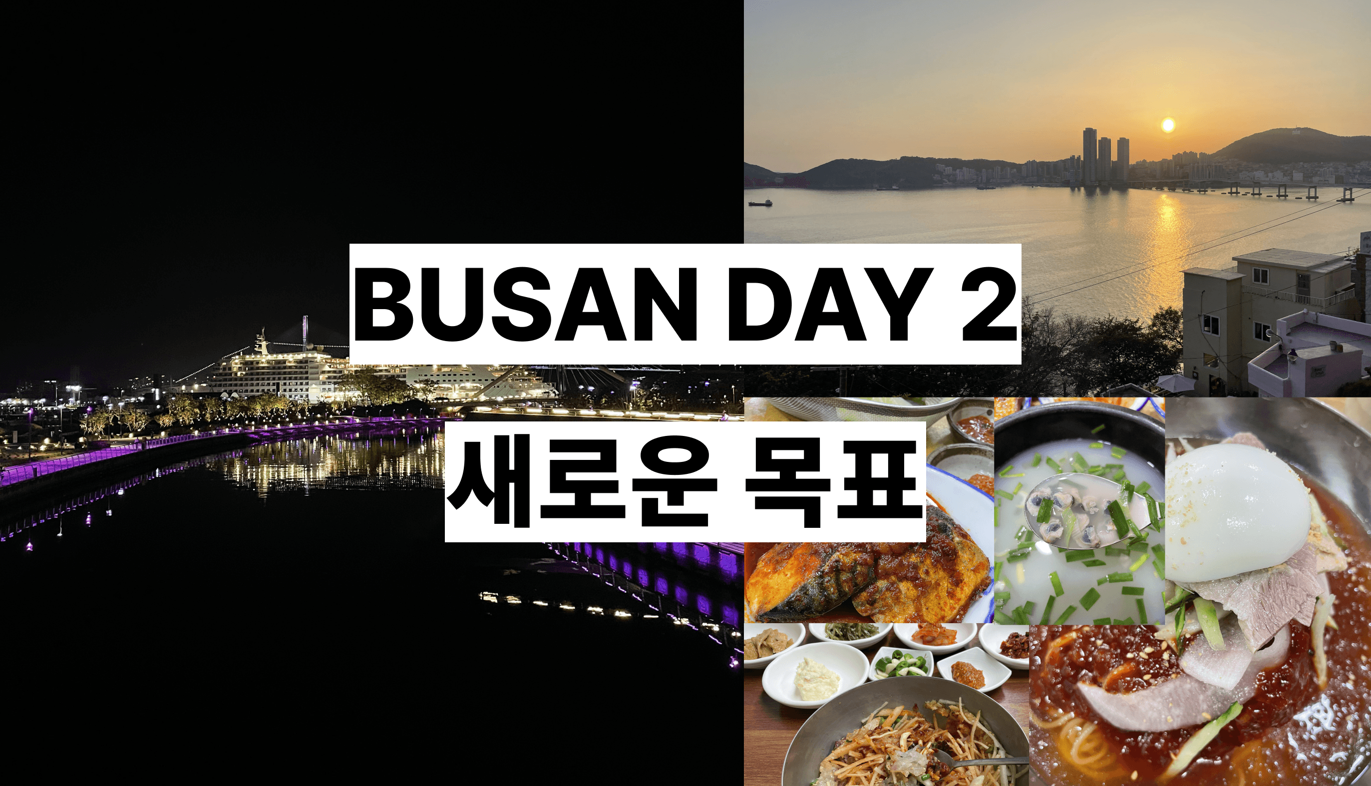 Cover Image for BUSAN DAY 2 : 새로운 목표